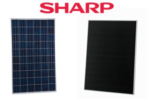 sharp Solarmodule